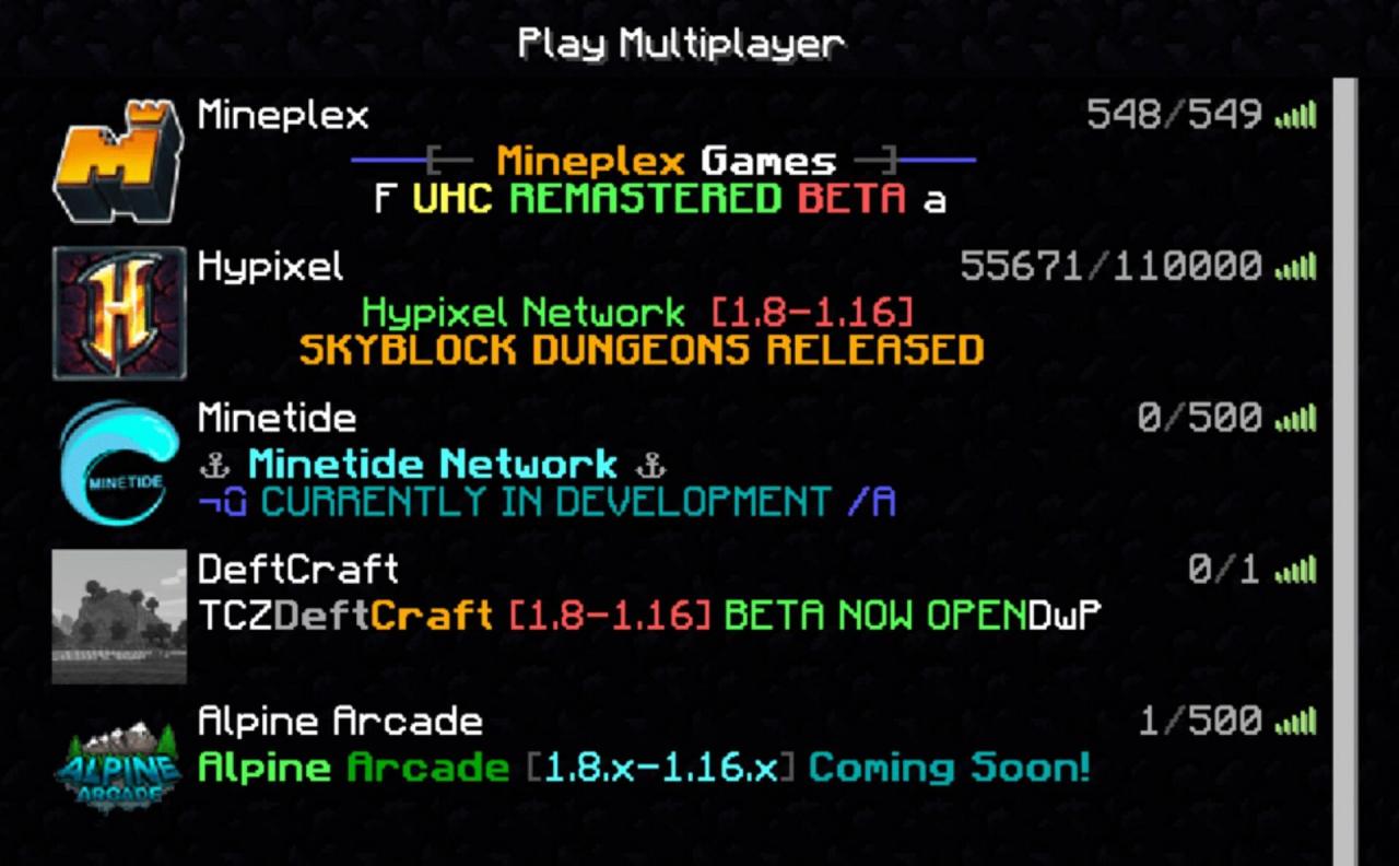 Minecraft hosting server dedicated servers