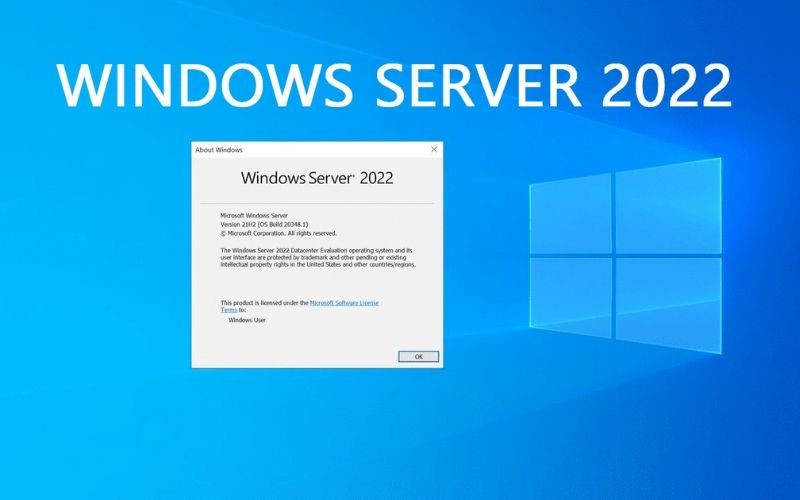 Server 2024