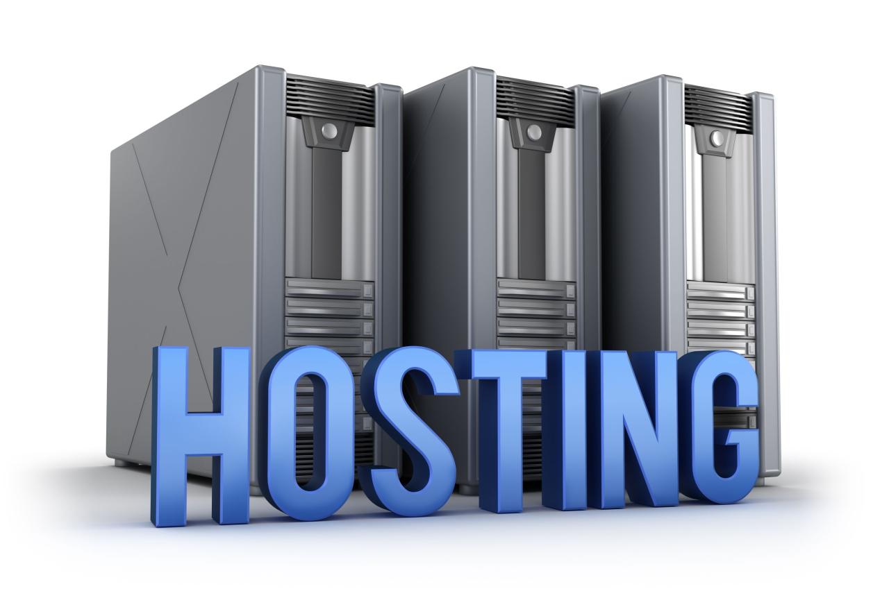 Server hosting services