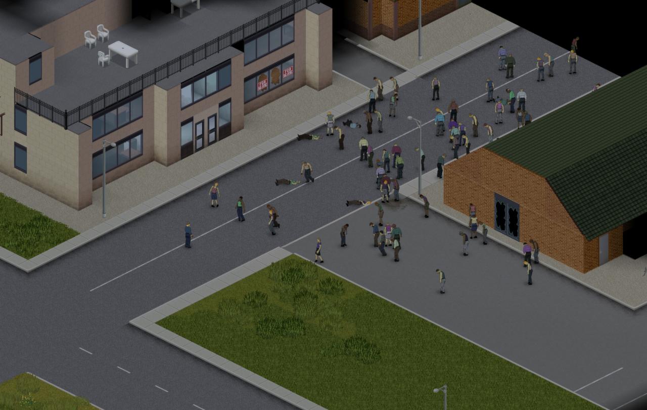 Project zomboid server