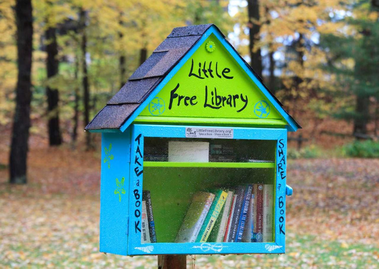 Little free library plans