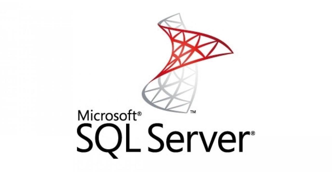 Ms sql server