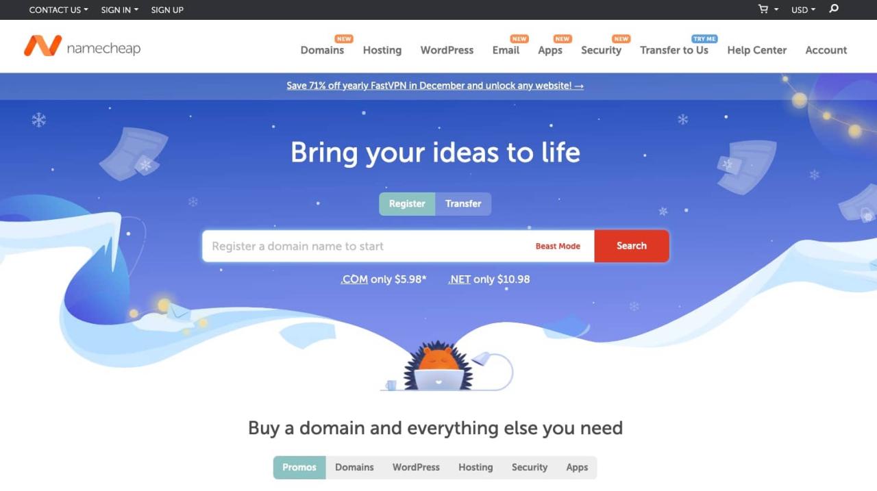 Cheap web domain